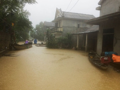 Ảnh bìa bài viết 494981