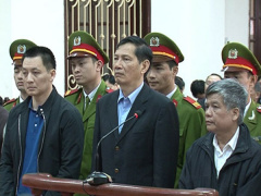 Ảnh bìa bài viết 495060