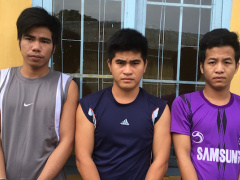 Ảnh bìa bài viết 502633