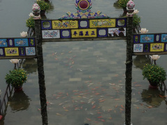 Ảnh bìa bài viết 495323