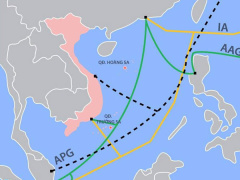 Ảnh bìa bài viết 495372