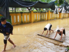 Ảnh bìa bài viết 495213