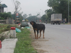 Ảnh bìa bài viết 503090