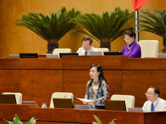 Ảnh bìa bài viết 495706