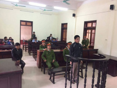 Ảnh bìa bài viết 495606