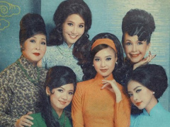 Ảnh bìa bài viết 503190