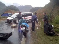 Ảnh bìa bài viết 503306