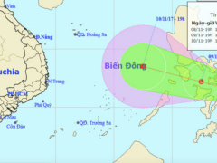Ảnh bìa bài viết 495738