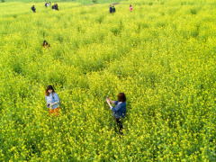 Ảnh bìa bài viết 503454