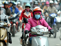 Ảnh bìa bài viết 503397