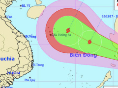 Ảnh bìa bài viết 495989