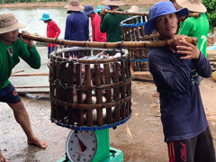 Ảnh bìa bài viết 496221