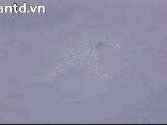 Ảnh bìa bài viết 503575