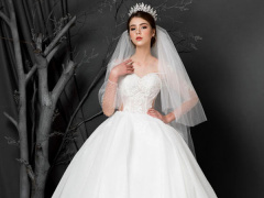 Ảnh bìa bài viết 503589