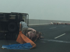 Ảnh bìa bài viết 503891