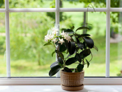 Ảnh bìa bài viết 504476
