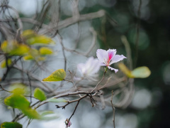 Ảnh bìa bài viết 504389