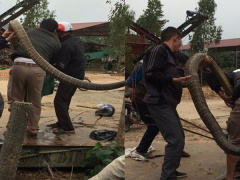 Ảnh bìa bài viết 504405