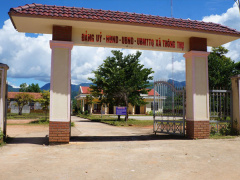 Ảnh bìa bài viết 504504