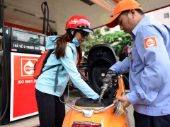 Ảnh bìa bài viết 504713