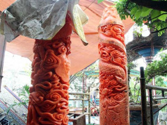 Ảnh bìa bài viết 504804