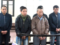 Ảnh bìa bài viết 504845