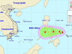 Ảnh bìa bài viết 504996