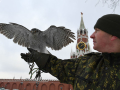 Ảnh bìa bài viết 505092