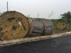 Ảnh bìa bài viết 504914