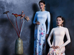 Ảnh bìa bài viết 504969