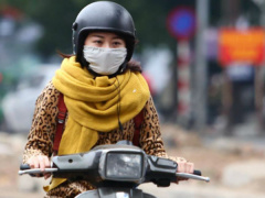 Ảnh bìa bài viết 505231
