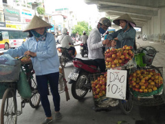 Ảnh bìa bài viết 505676
