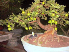 Ảnh bìa bài viết 505708