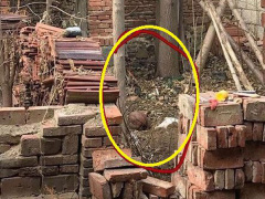 Ảnh bìa bài viết 505868