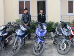 Ảnh bìa bài viết 505880