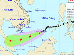 Ảnh bìa bài viết 506207