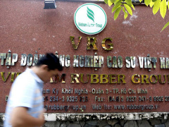 Ảnh bìa bài viết 506319