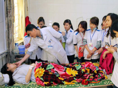 Ảnh bìa bài viết 506196