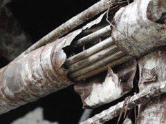 Ảnh bìa bài viết 506215