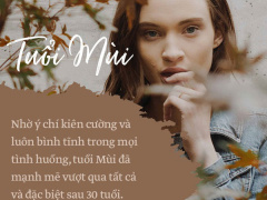 Ảnh bìa bài viết 506376