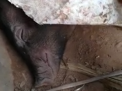 Ảnh bìa bài viết 506745