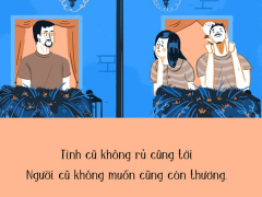Ảnh bìa bài viết 506668