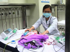 Ảnh bìa bài viết 506809