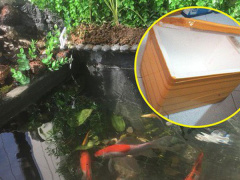 Ảnh bìa bài viết 506936