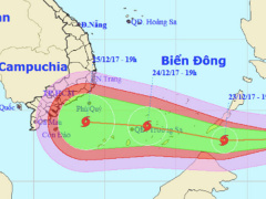 Ảnh bìa bài viết 506866