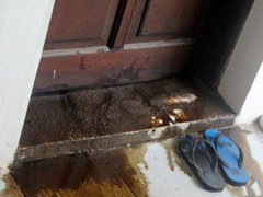 Ảnh bìa bài viết 507115