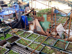 Ảnh bìa bài viết 507258