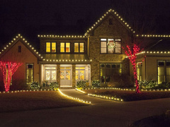 Ảnh bìa bài viết 507401