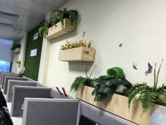 Ảnh bìa bài viết 507320
