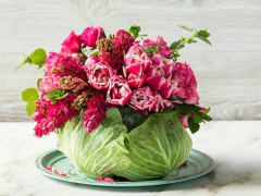 Ảnh bìa bài viết 507587